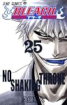 BLEACH 25 (25)