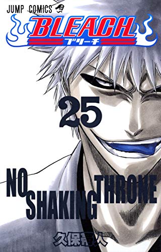 BLEACH 25 (25)