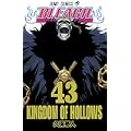 BLEACH 43 (ジャンプコミックス) (0 クリップ)