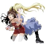 To LOVEる-とらぶる-14巻DVD付予約限定版 (ジャンプコミックス)
