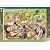ONE PIECE 2010 コミックカレンダー