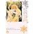ワン・モア・ジャンプ 5〔文庫〕 (小学館文庫 あC 51) (0 クリップ)