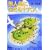 無人島に生きる十六人 (新潮文庫)