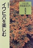 イワヒバを楽しむ