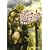 グイン・サーガ・ハンドブックFinal (ハヤカワ文庫 JA ク 0-4) (3 クリップ)