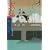 玄鳥 (文春文庫)