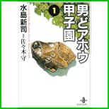 男どアホウ甲子園 (秋田文庫) 全 18 巻