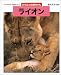 ちがいがわかる 写真絵本シリーズ どうぶつの赤ちゃん ライオン