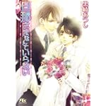 旦那さまなんていらない (幻冬舎ルチル文庫)