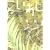 「こいあじ」 (WINGS COMICS) (1 クリップ)
