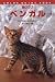 井川 俊彦: ベンガル―猫クラブ