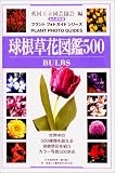 �������Ԑ}��500