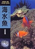 海水魚