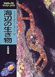 海辺の生き物