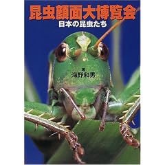 ������ʑ唎����
