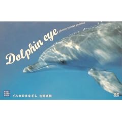 Dolphin eye�����륫�Τޤʤ���
