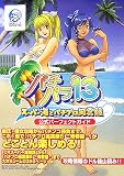 パチパラ13 スーパー海とパチプロ風雲録 公式パーフェクトガイド