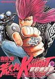 荒くれKNIGHT・高校爆走編