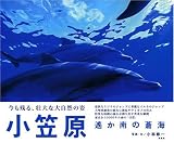 小笠原【遙か南の蒼海】