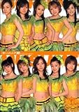�⡼�˥�̼��in Hello! Project 2006 Winter