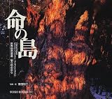 ̿���硽���������仺������κ̤�