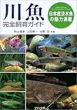 ����������饬����?���ܻ�ø�����̥������