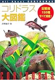 ����ɥ饹��޴�?All About Corydoras