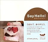 Say Hello! あのこによろしく。