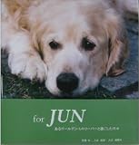 For Jun�\����S�[���f���E���g���o�[�Ɖ߂��������X