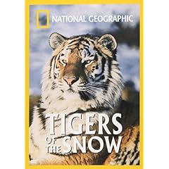 National Geographics Tigers of the Snow
