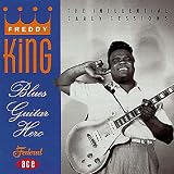 BLUES GUITAR HERO