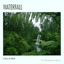 CD Cover Art
