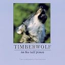 CD Cover Art