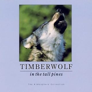 CD Cover Art