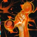 CD Cover Art