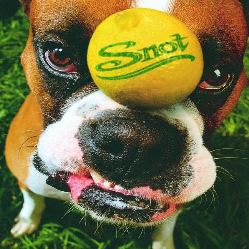 Snot - Get Some Lyrics - Zortam Music