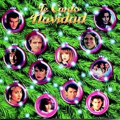 30 CD's of Christmas Music