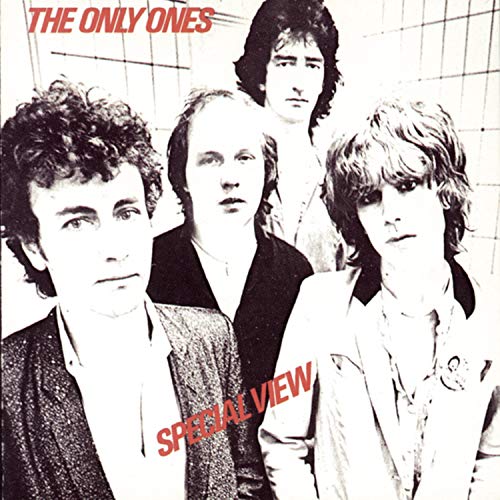 Special View by The Only Ones album cover