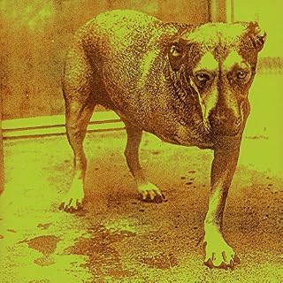 CD Cover Art