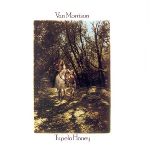 Van Morrison - Top Hits T295 - Zortam Music