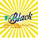 CD Cover Art
