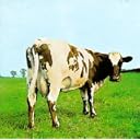 CD Cover Art