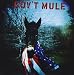 Gov't Mule