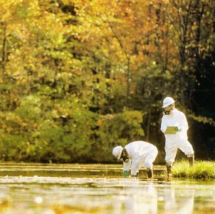 HEDNINGARNA - Hippjokk - Zortam Music