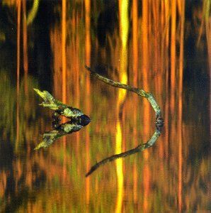 Loituma - Things of Beauty - Zortam Music