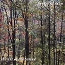 CD Cover Art