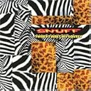 CD Cover Art