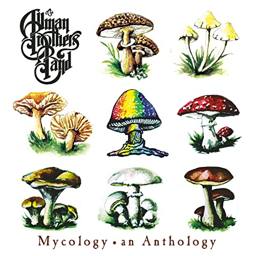 Allman Brothers Band - Seven Turns - Zortam Music