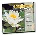 Tchaikovsky: Ballets (Box Set)