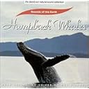 CD Cover Art